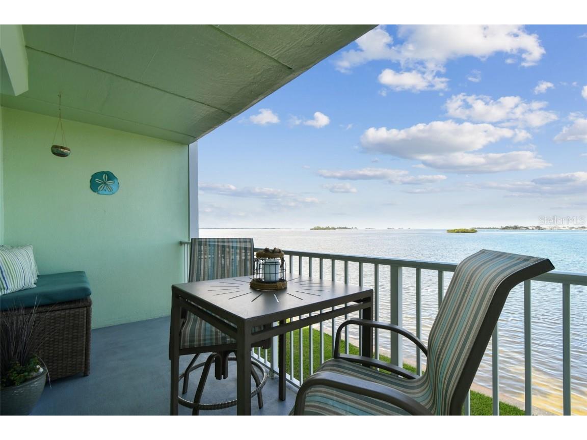 464 N Paula Drive #221 Dunedin FL 34698 TB8443507 image22