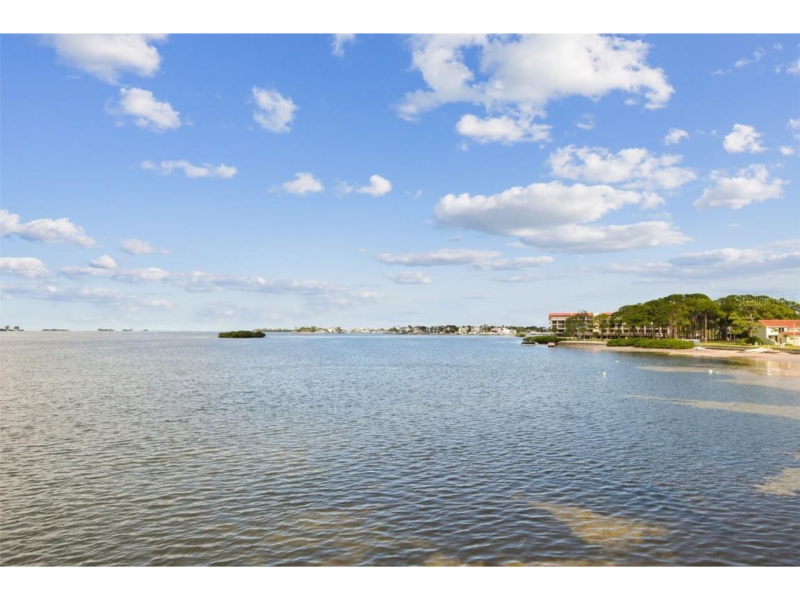 464 N Paula Drive #221 Dunedin FL 34698 TB8443507 image24