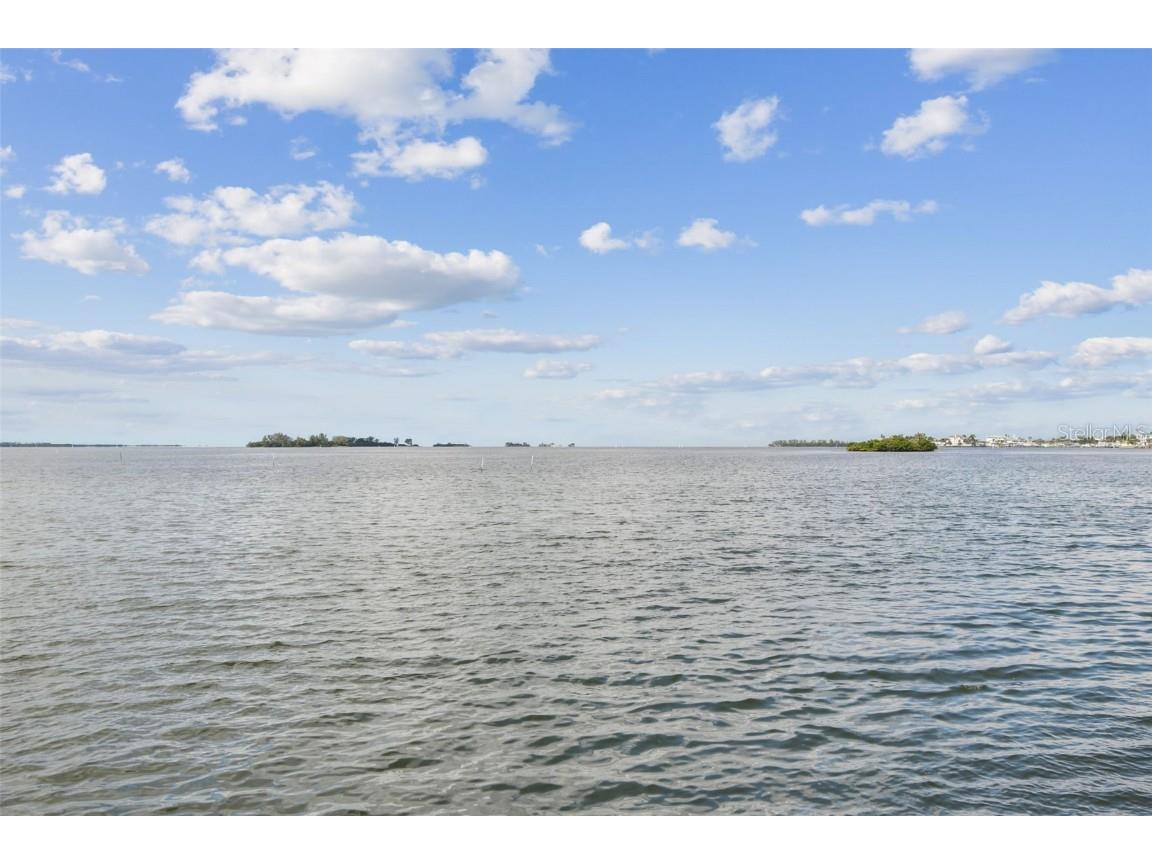 464 N Paula Drive #221 Dunedin FL 34698 TB8443507 image46