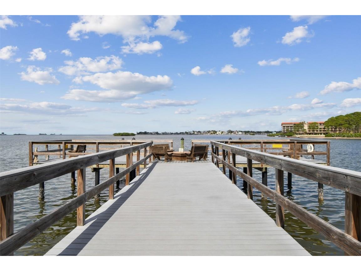 464 N Paula Drive #221 Dunedin FL 34698 TB8443507 image48