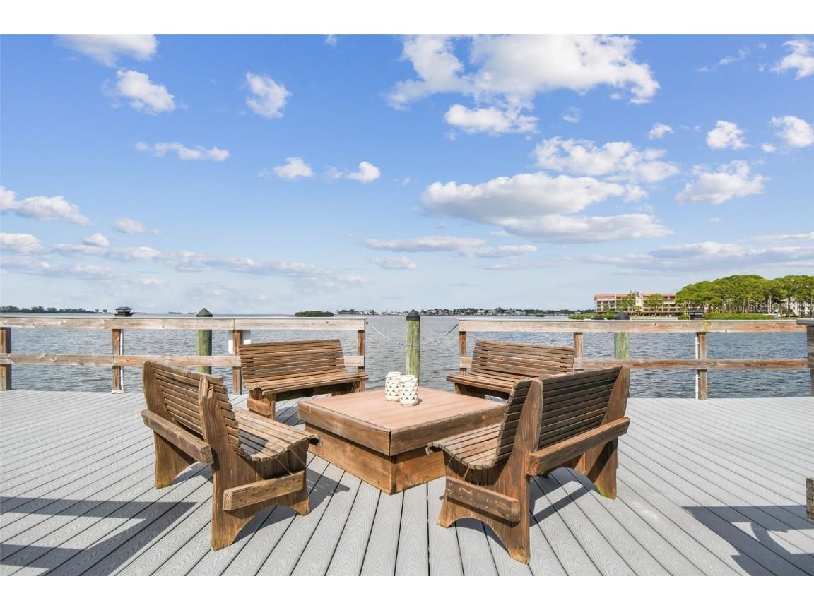 464 N Paula Drive #221 Dunedin FL 34698 TB8443507 image49