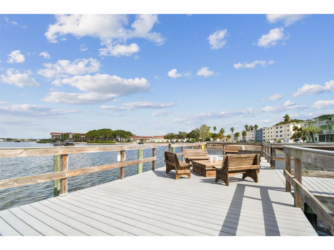 464 N Paula Drive #221 Dunedin FL 34698 TB8443507 image50