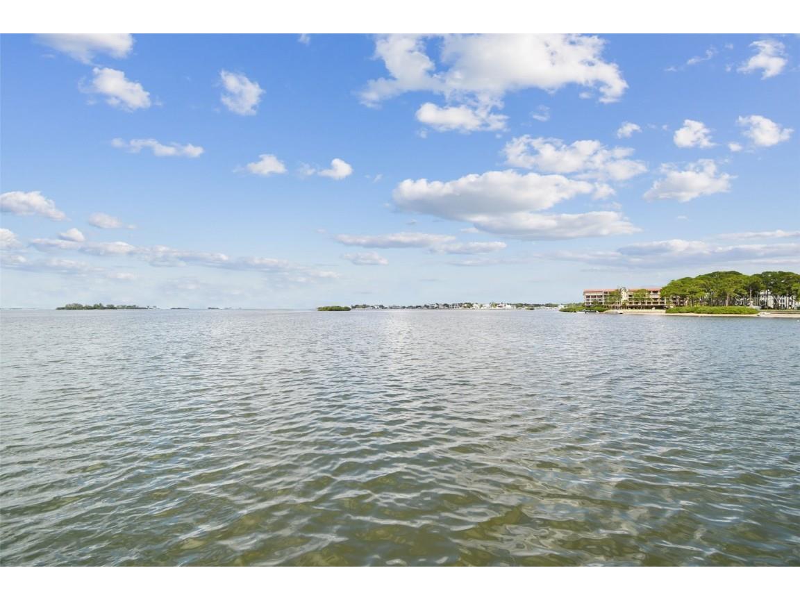 464 N Paula Drive #221 Dunedin FL 34698 TB8443507 image51