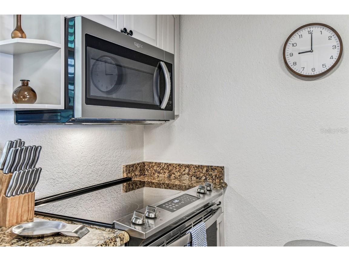 464 N Paula Drive #221 Dunedin FL 34698 TB8443507 image7