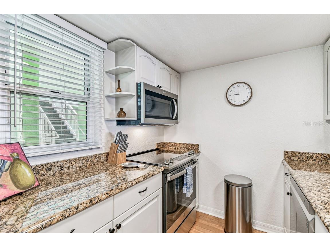 464 N Paula Drive #221 Dunedin FL 34698 TB8443507 image8