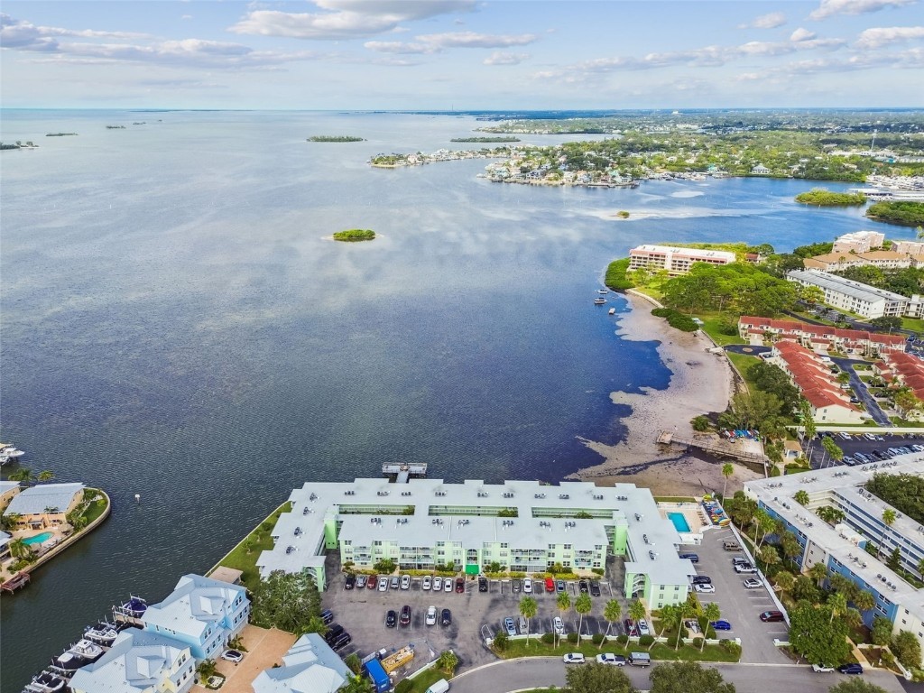 464 N Paula Drive #221 Dunedin FL 34698 TB8443507 image81