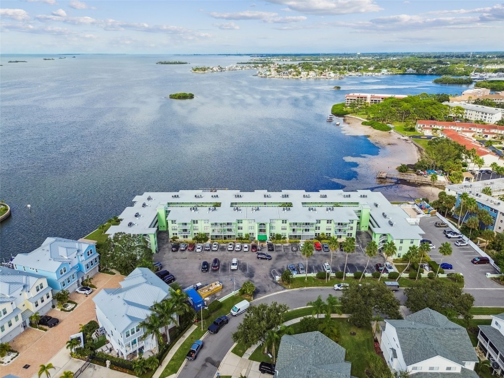 464 N Paula Drive #221 Dunedin FL 34698 TB8443507 image82