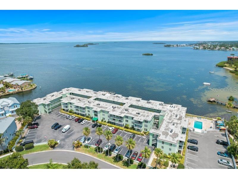 464 N Paula Drive #301 Dunedin FL 34698 TB8426703 image1