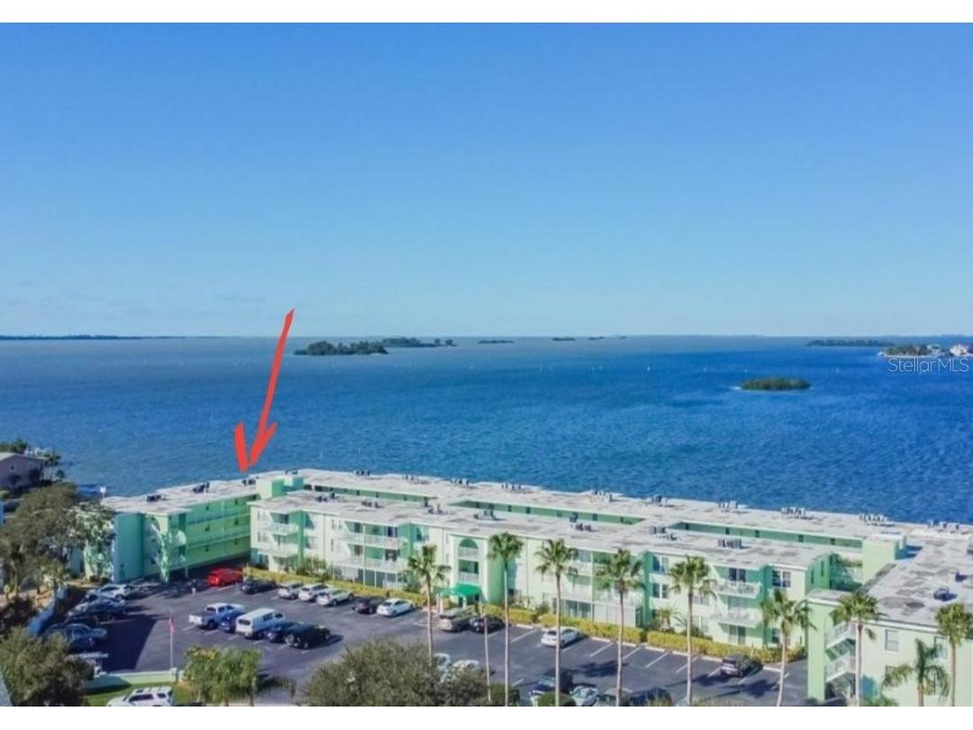 464 N Paula Drive #312 Dunedin FL 34698 U8247999 image1