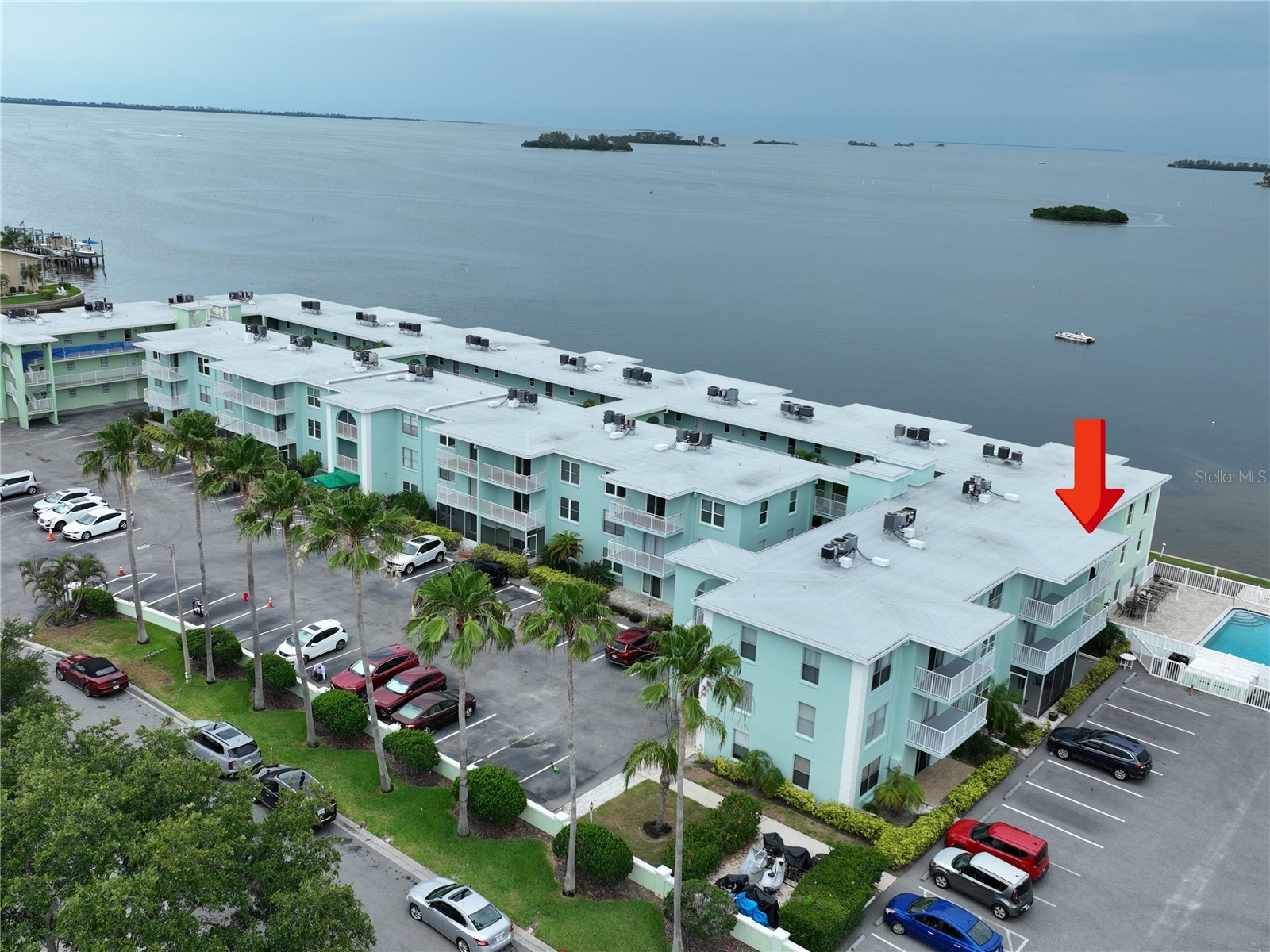 464 N Paula Drive #313 Dunedin FL 34698 TB8504316 image1