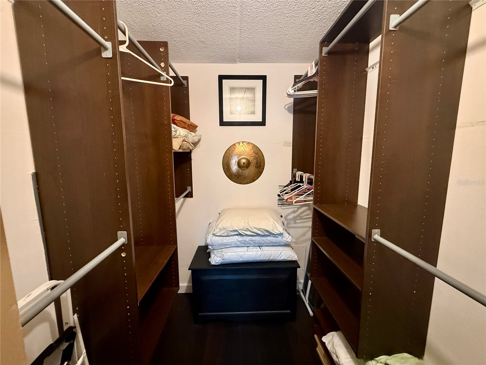464 N Paula Drive #313 Dunedin FL 34698 TB8504316 image11