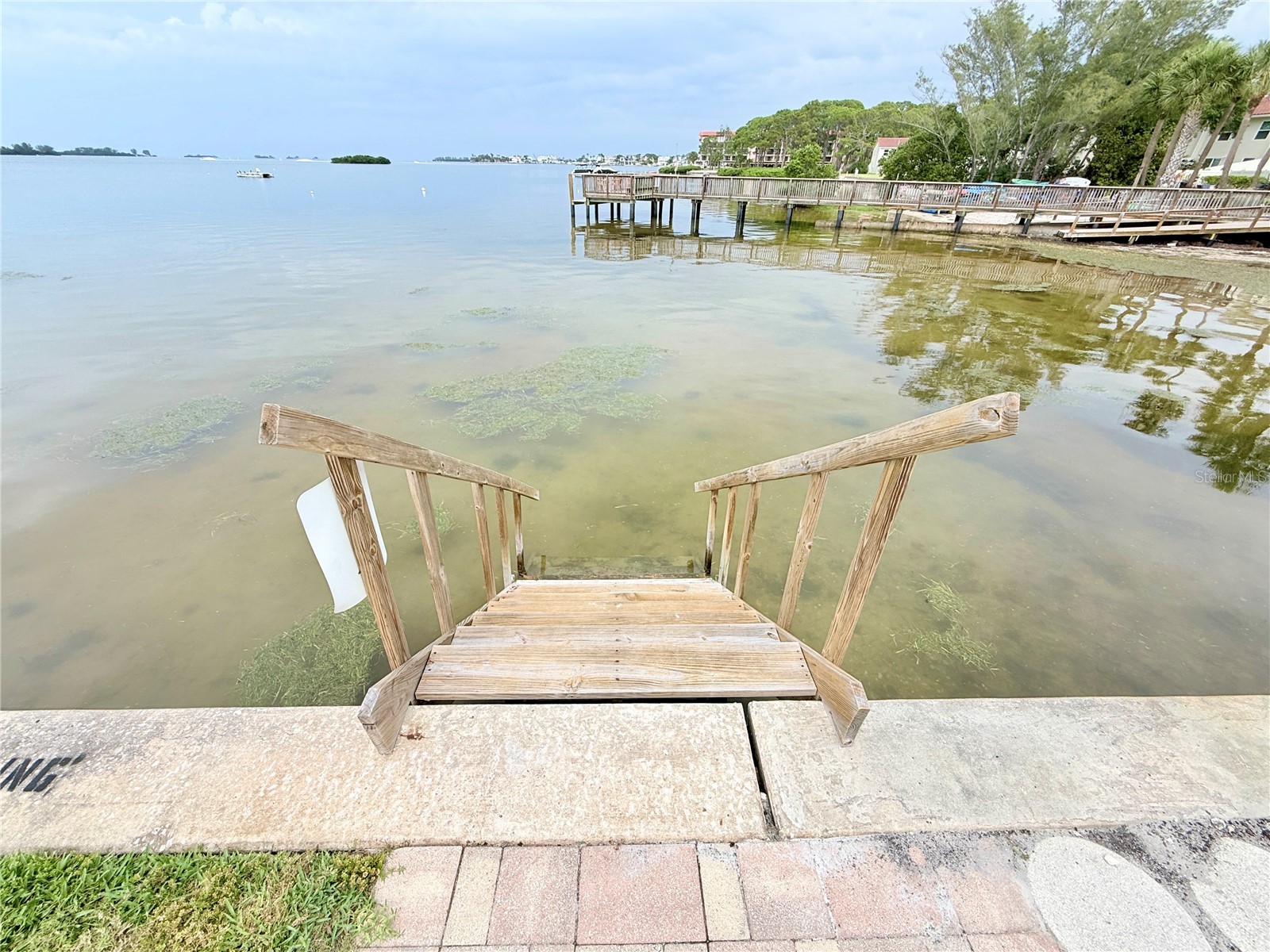 464 N Paula Drive #313 Dunedin FL 34698 TB8504316 image14