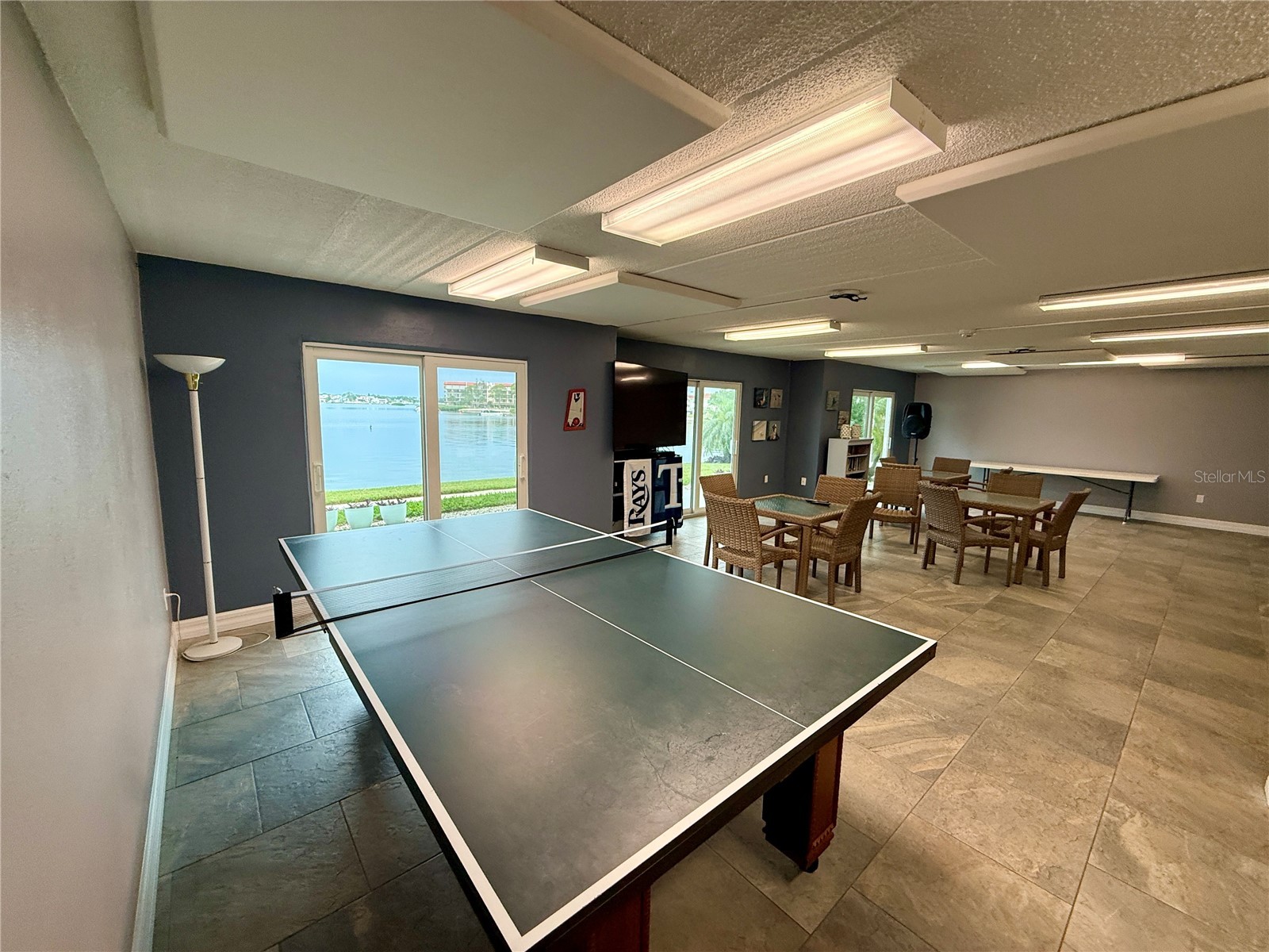 464 N Paula Drive #313 Dunedin FL 34698 TB8504316 image19