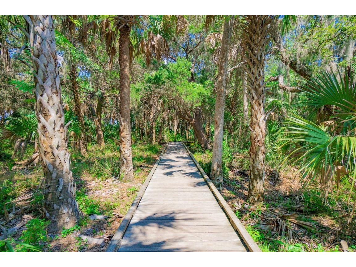 464 NE 2nd Street Crystal River FL 34429 W7857882 image23