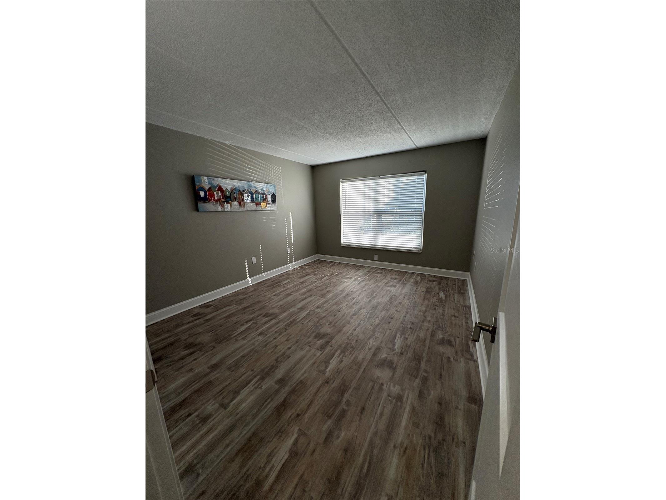 464 Paula Drive N #109 Dunedin FL 34698 TB8469862 image14