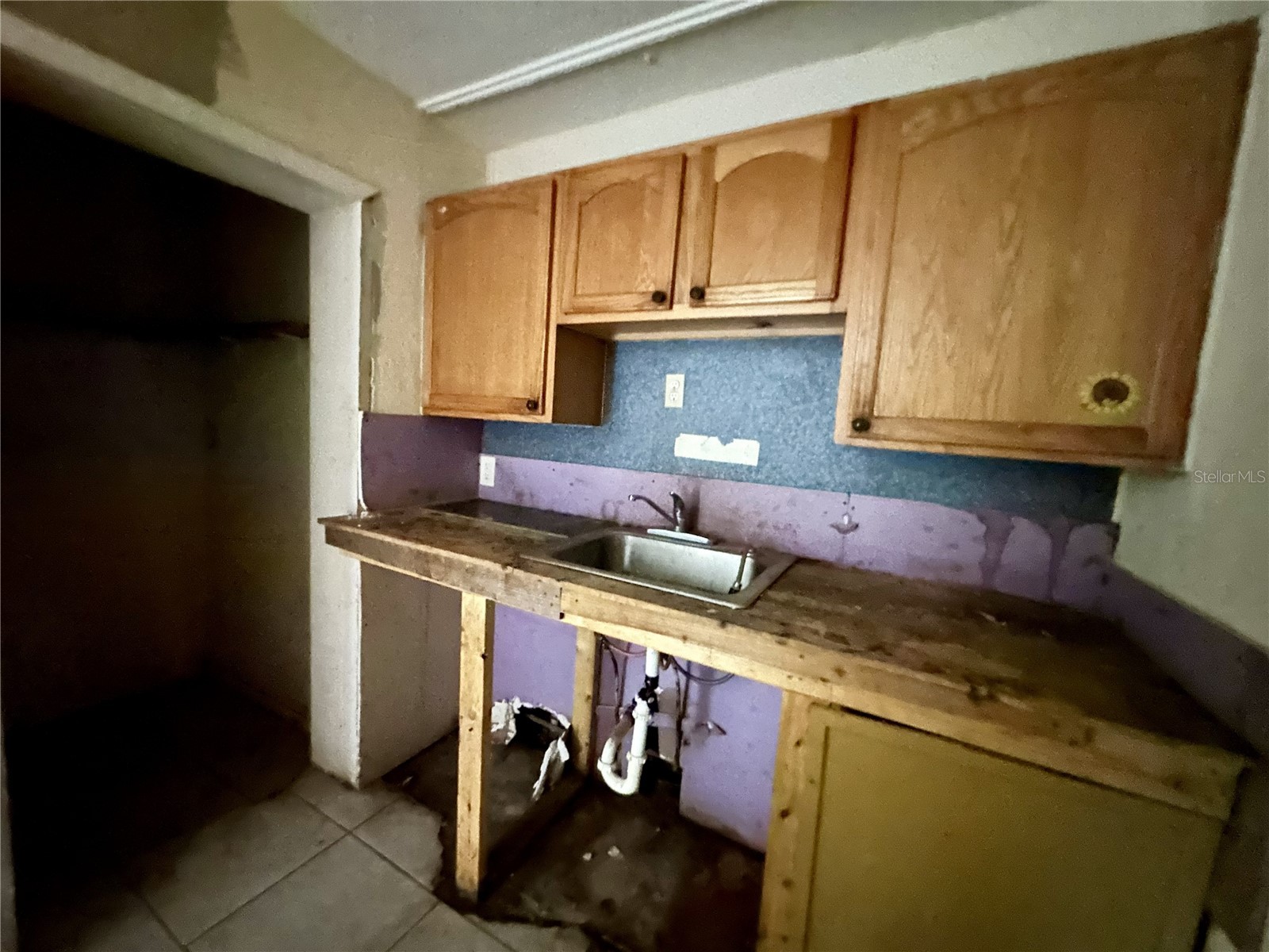 4640 NE Cubitis Avenue Arcadia FL 34266 L4961565 image7