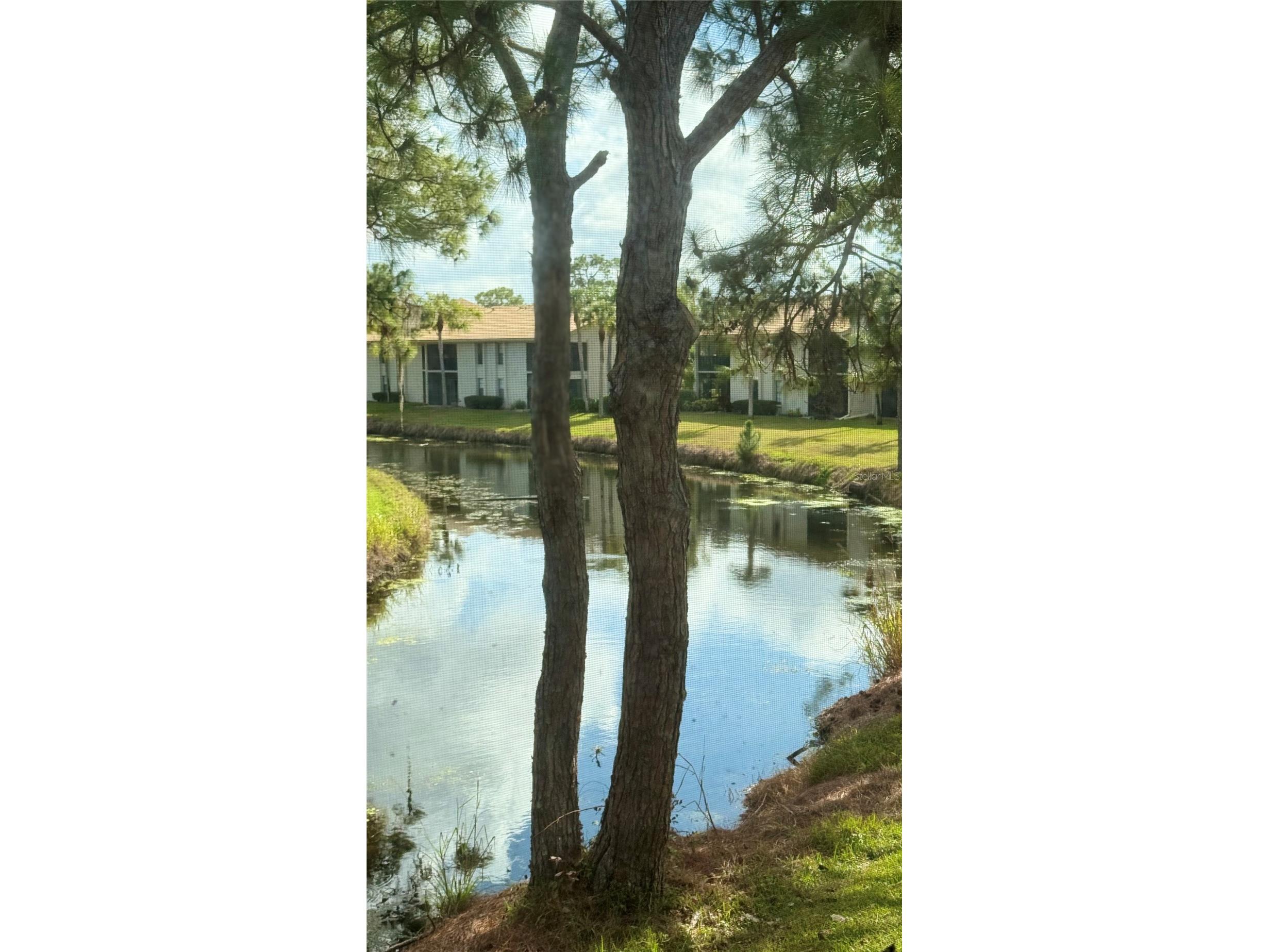 4640 Weybridge #12 Sarasota FL 34235 A4677826 image6