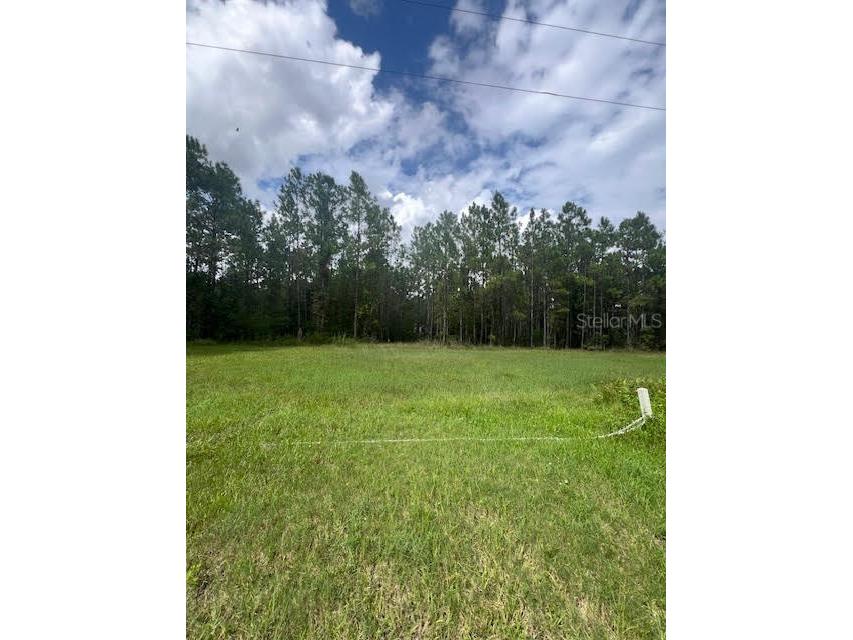 4641 Herin Drive New Smyrna Beach FL 32168 FC303875 image4