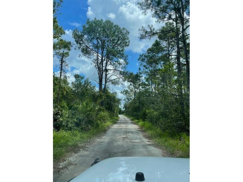 4641 Herin Drive New Smyrna Beach FL 32168 FC303875 image5