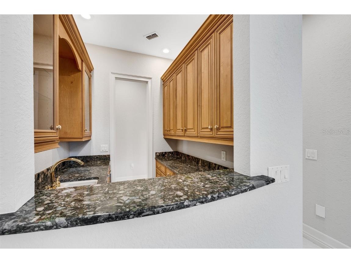 4641 John Moore Road Brandon FL 33511 - ALAFIA RIVER TB8389455 image23