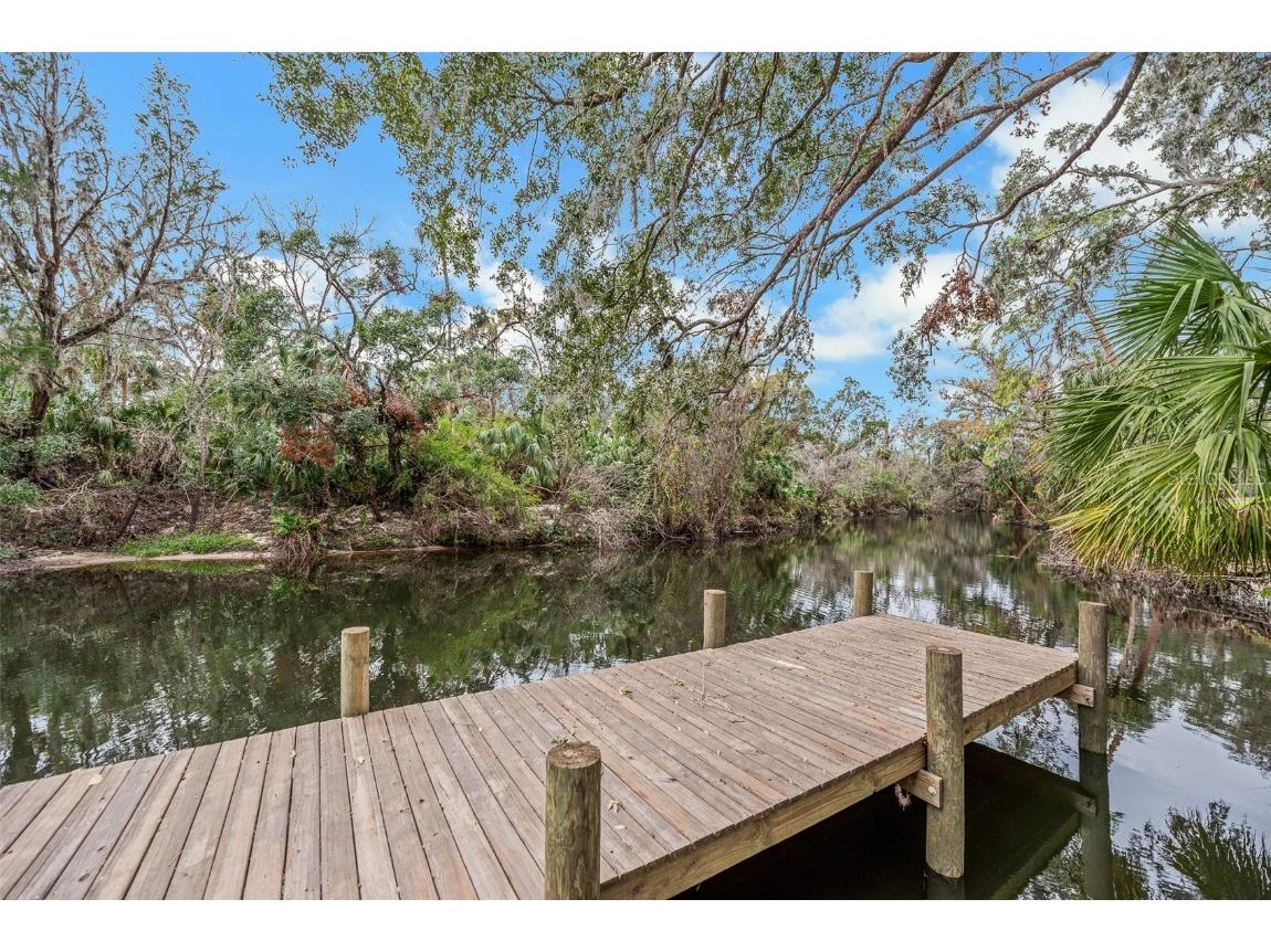 4641 John Moore Road Brandon FL 33511 - ALAFIA RIVER TB8389455 image78