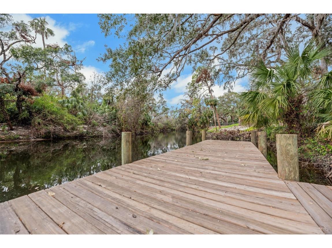 4641 John Moore Road Brandon FL 33511 - ALAFIA RIVER TB8389455 image79