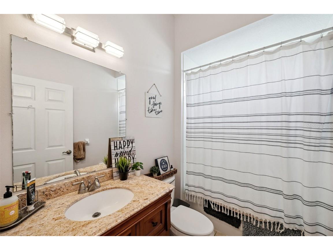 4641 Rolling Green Drive Wesley Chapel FL 33543 TB8403443 image22