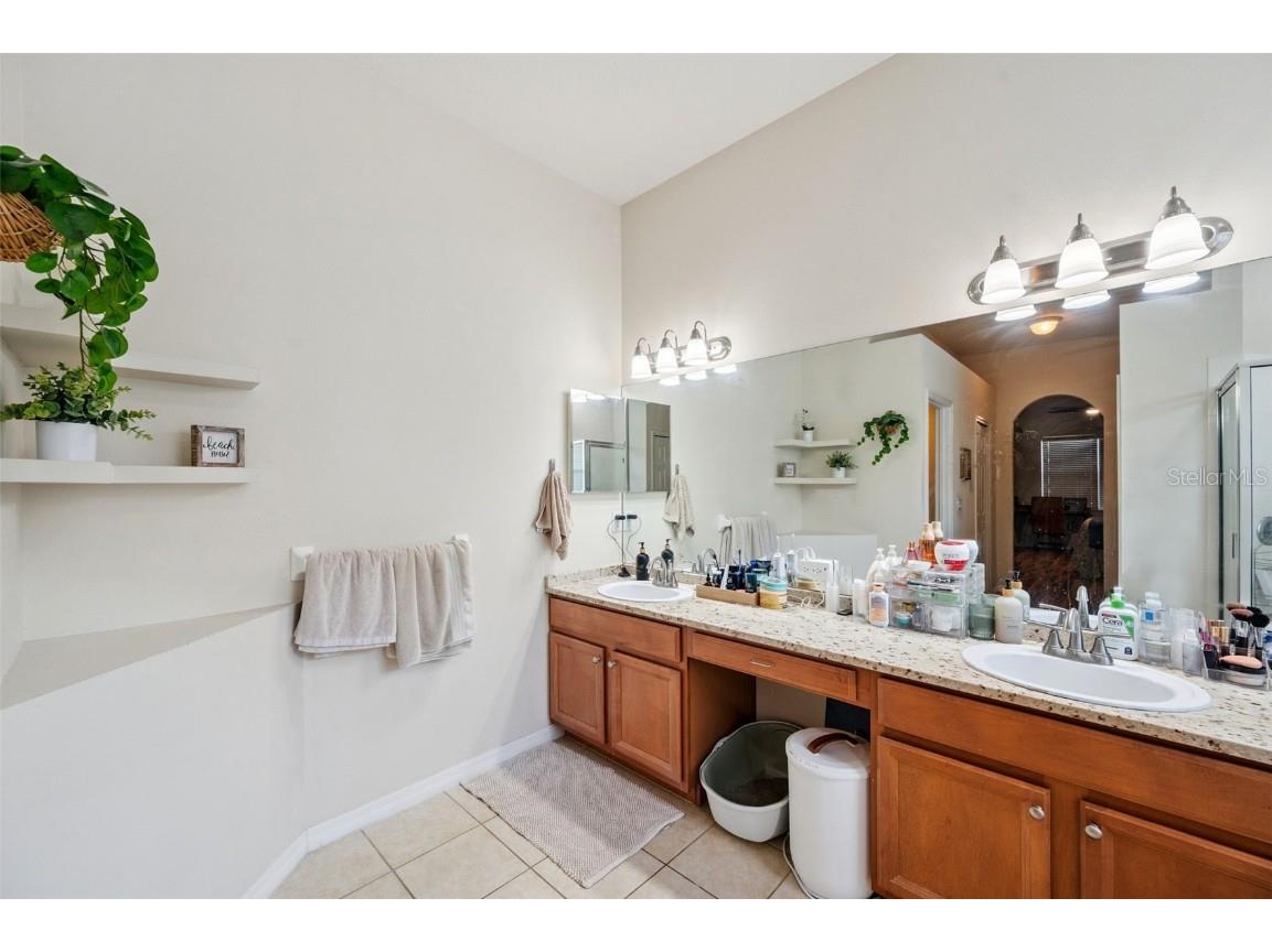 4641 Rolling Green Drive Wesley Chapel FL 33543 TB8403443 image29