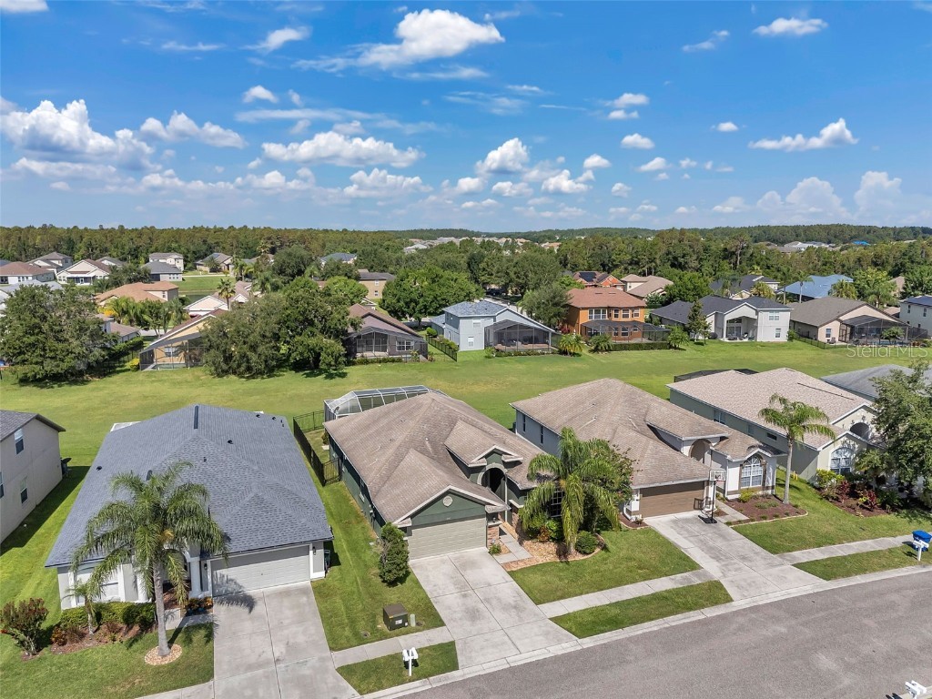 4641 Rolling Green Drive Wesley Chapel FL 33543 TB8403443 image38