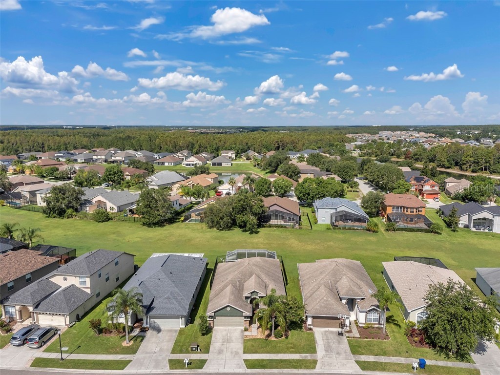 4641 Rolling Green Drive Wesley Chapel FL 33543 TB8403443 image39