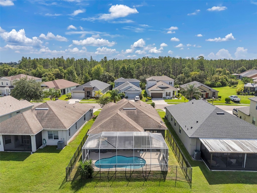 4641 Rolling Green Drive Wesley Chapel FL 33543 TB8403443 image41