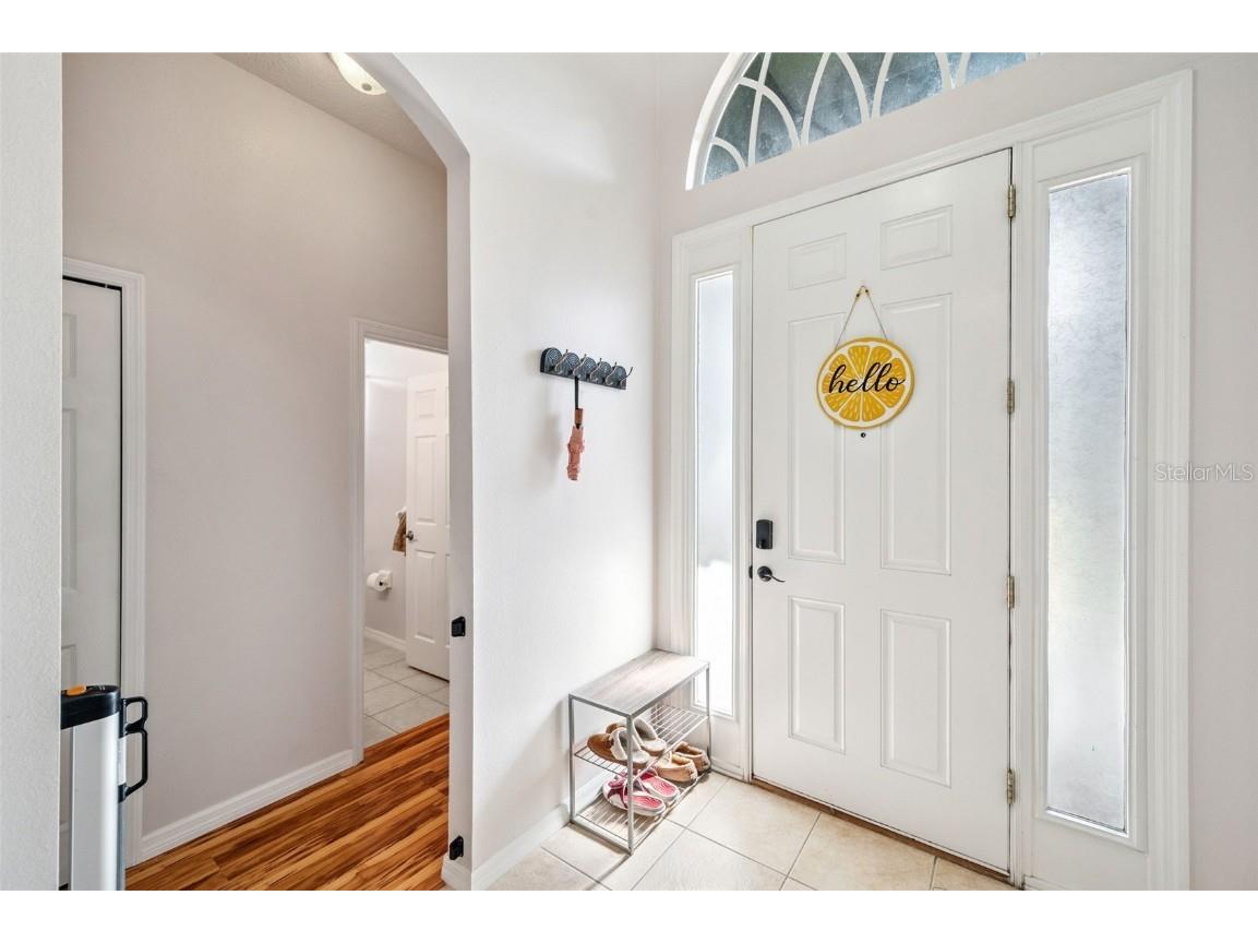 4641 Rolling Green Drive Wesley Chapel FL 33543 TB8403443 image5