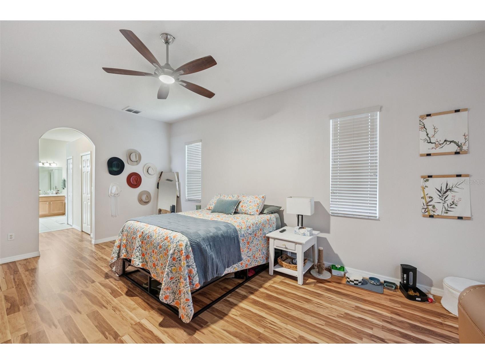 4641 Rolling Green Drive Wesley Chapel FL 33543 TB8505870 image22