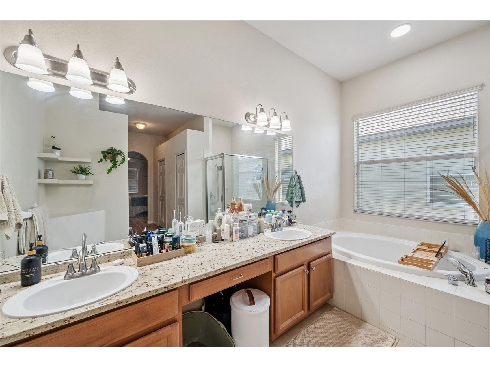 4641 Rolling Green Drive Wesley Chapel FL 33543 TB8505870 image25