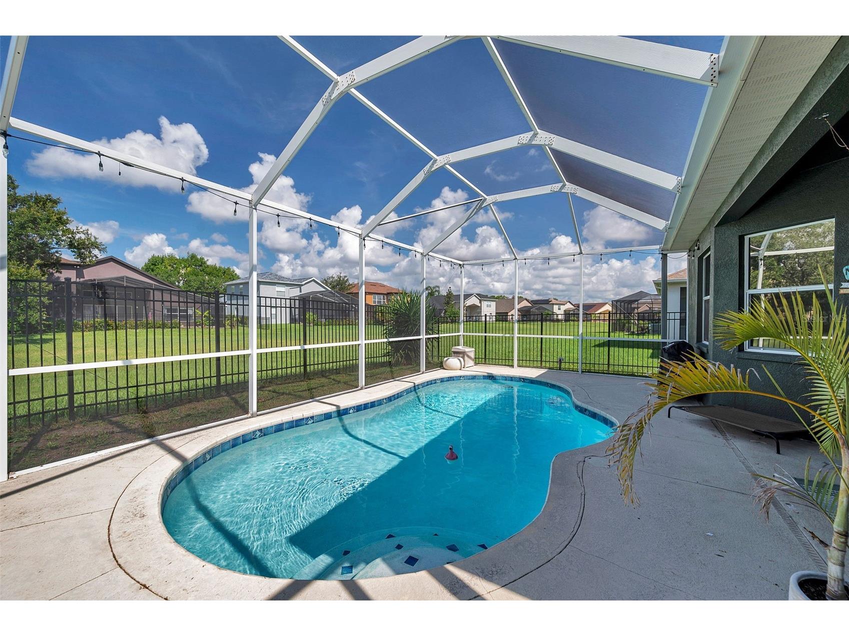 4641 Rolling Green Drive Wesley Chapel FL 33543 TB8505870 image39