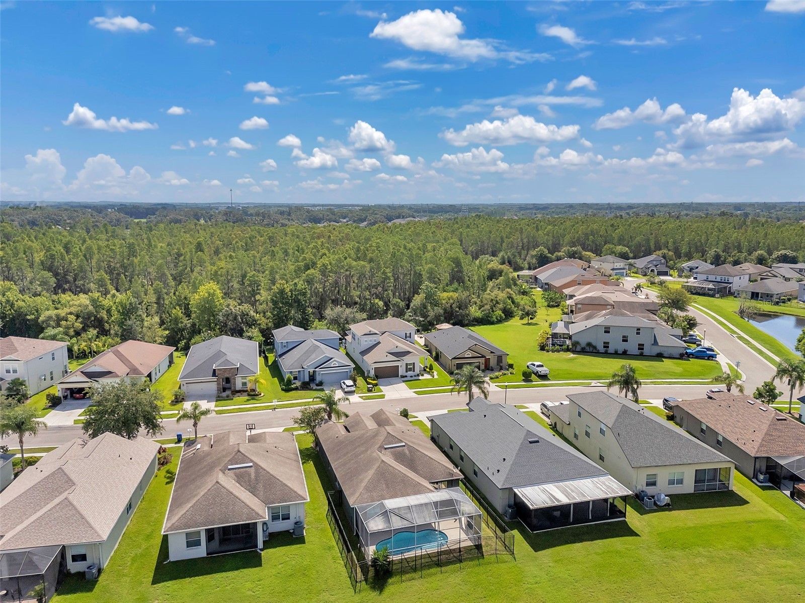 4641 Rolling Green Drive Wesley Chapel FL 33543 TB8505870 image49