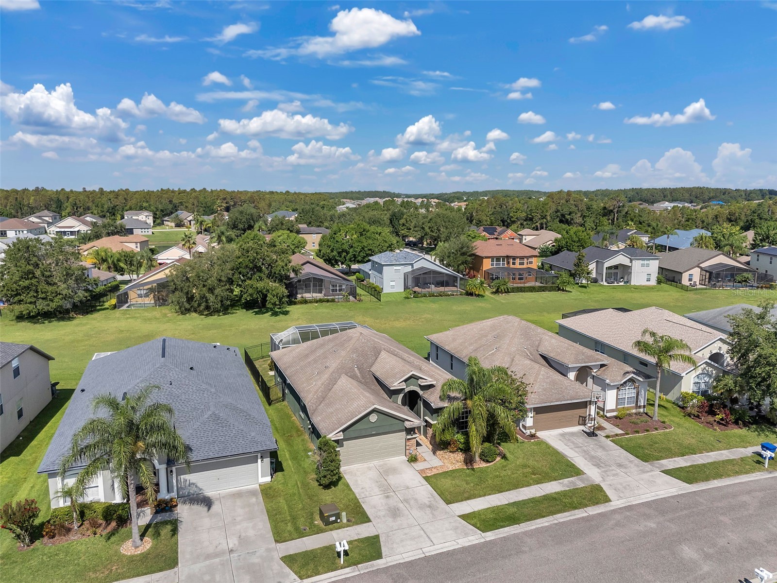 4641 Rolling Green Drive Wesley Chapel FL 33543 TB8505870 image51