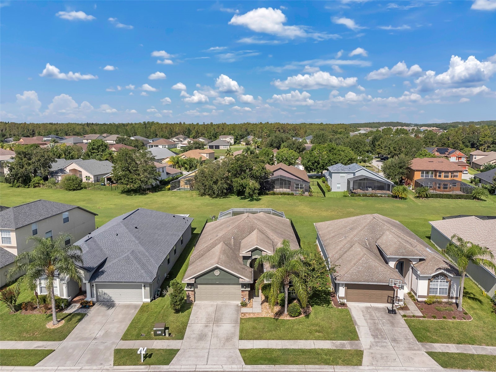4641 Rolling Green Drive Wesley Chapel FL 33543 TB8505870 image52