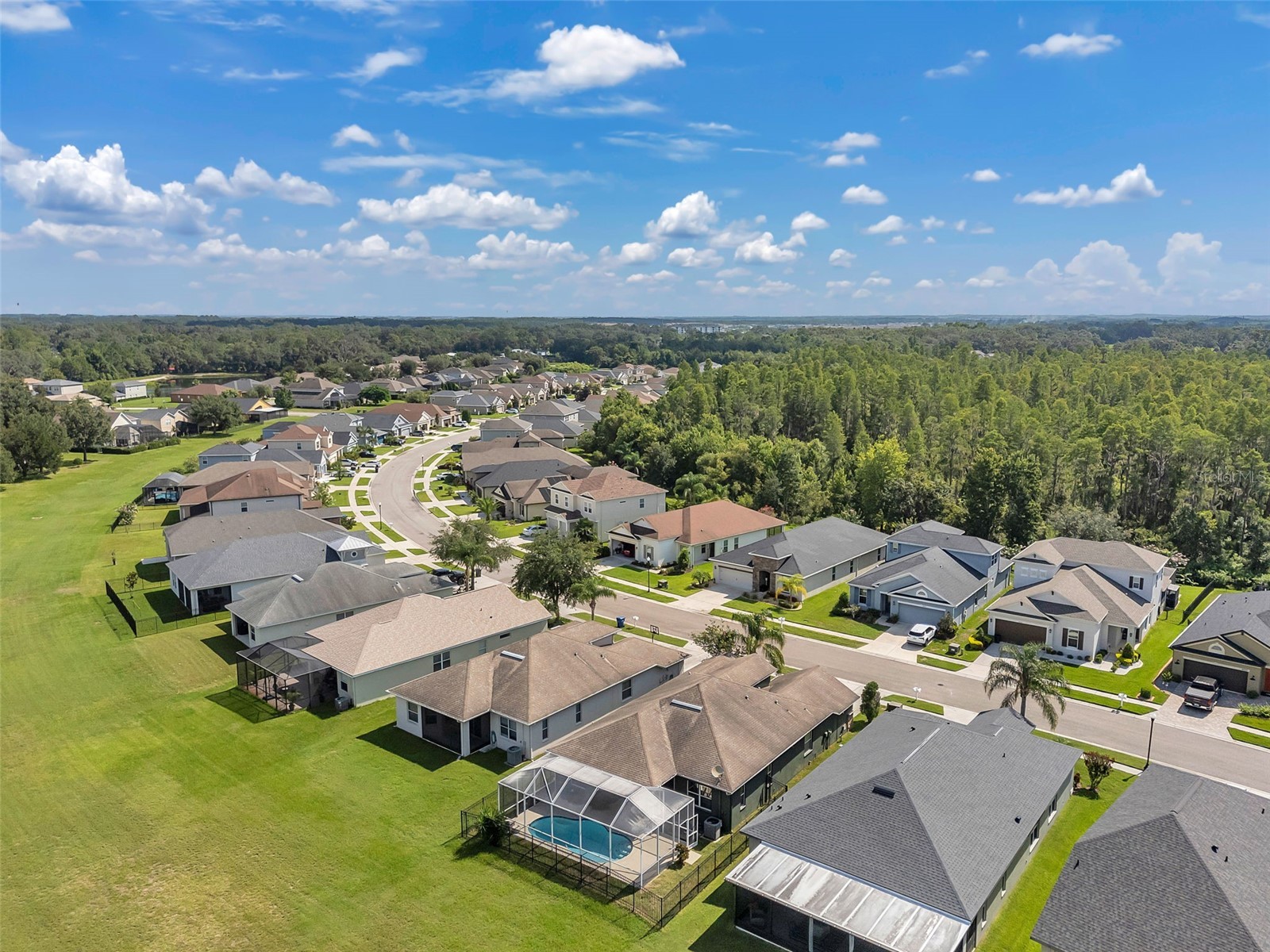 4641 Rolling Green Drive Wesley Chapel FL 33543 TB8505870 image53