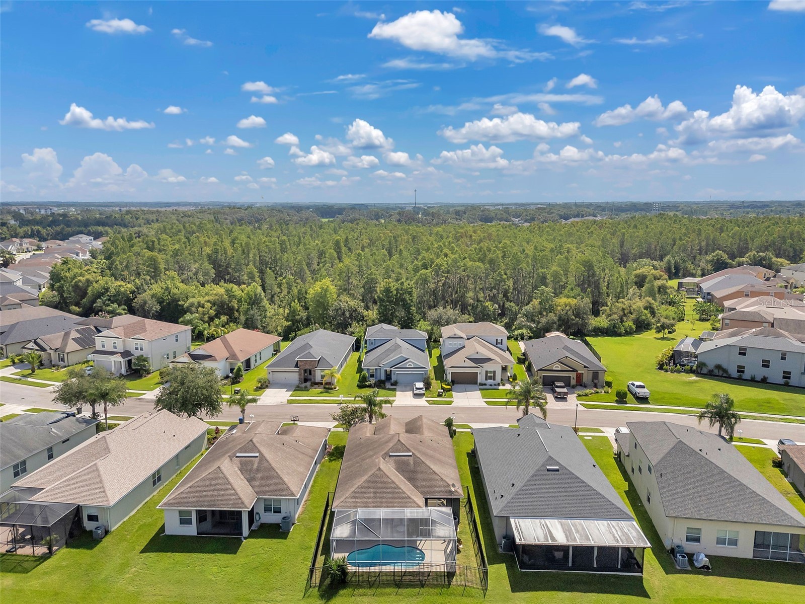 4641 Rolling Green Drive Wesley Chapel FL 33543 TB8505870 image54