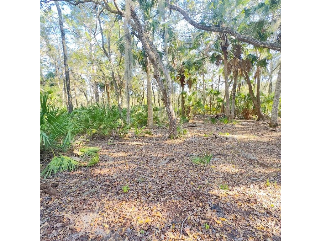 4641 Tree Top Lane Edgewater FL 32141 NS1080730 image1