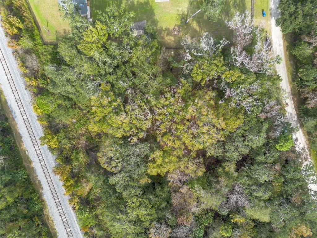 4642 Tree Top Lane Edgewater FL 32141 NS1080133 image1