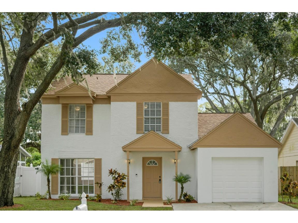 4643 Cabbage Palm Drive Valrico FL 33596 TB8437097 image1