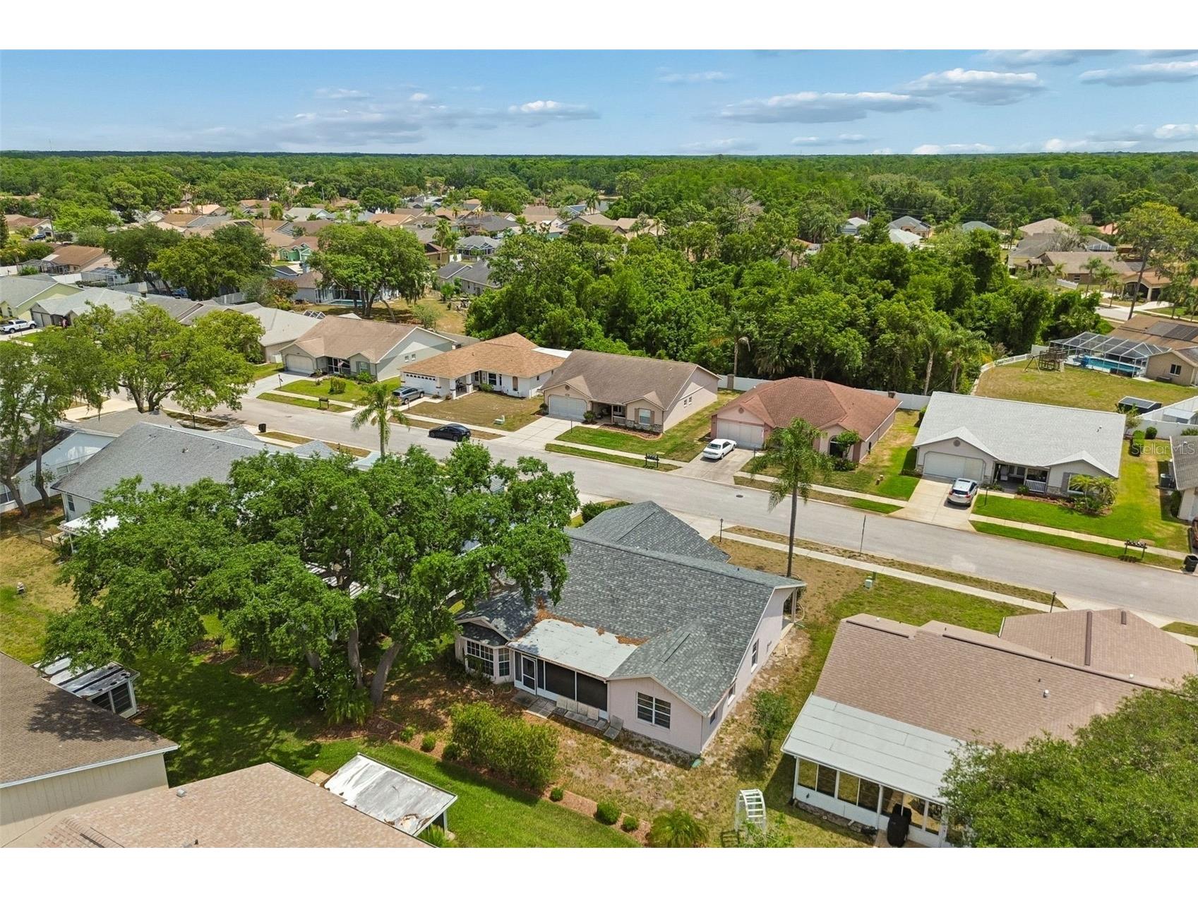 4643 Sandpointe Drive New Port Richey FL 34655 W7885086 image30