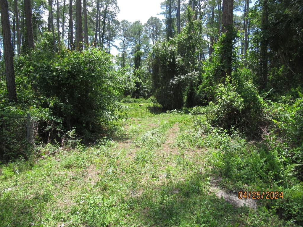 4643 Walnut Avenue Bunnell FL 32110 FC300234 image1