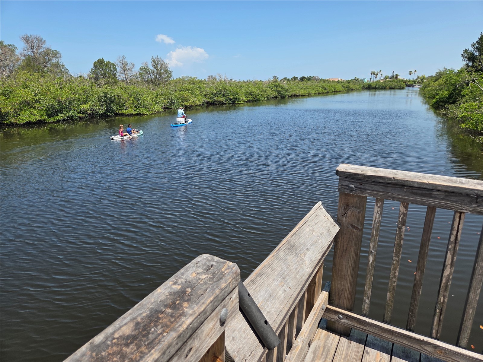 4645 Irene Loop New Port Richey FL 34652 TB8521203 image28