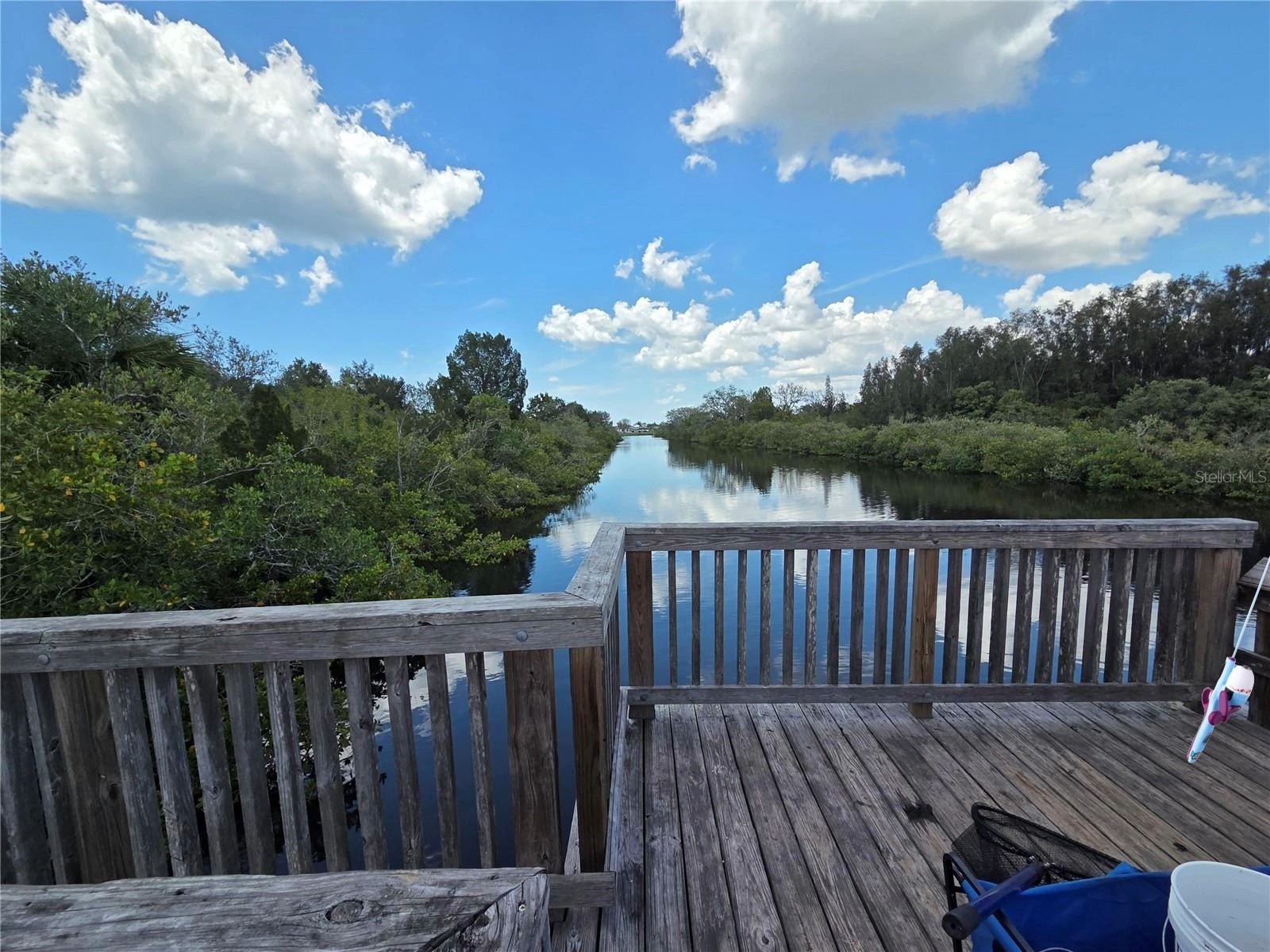 4645 Irene Loop New Port Richey FL 34652 TB8521203 image30