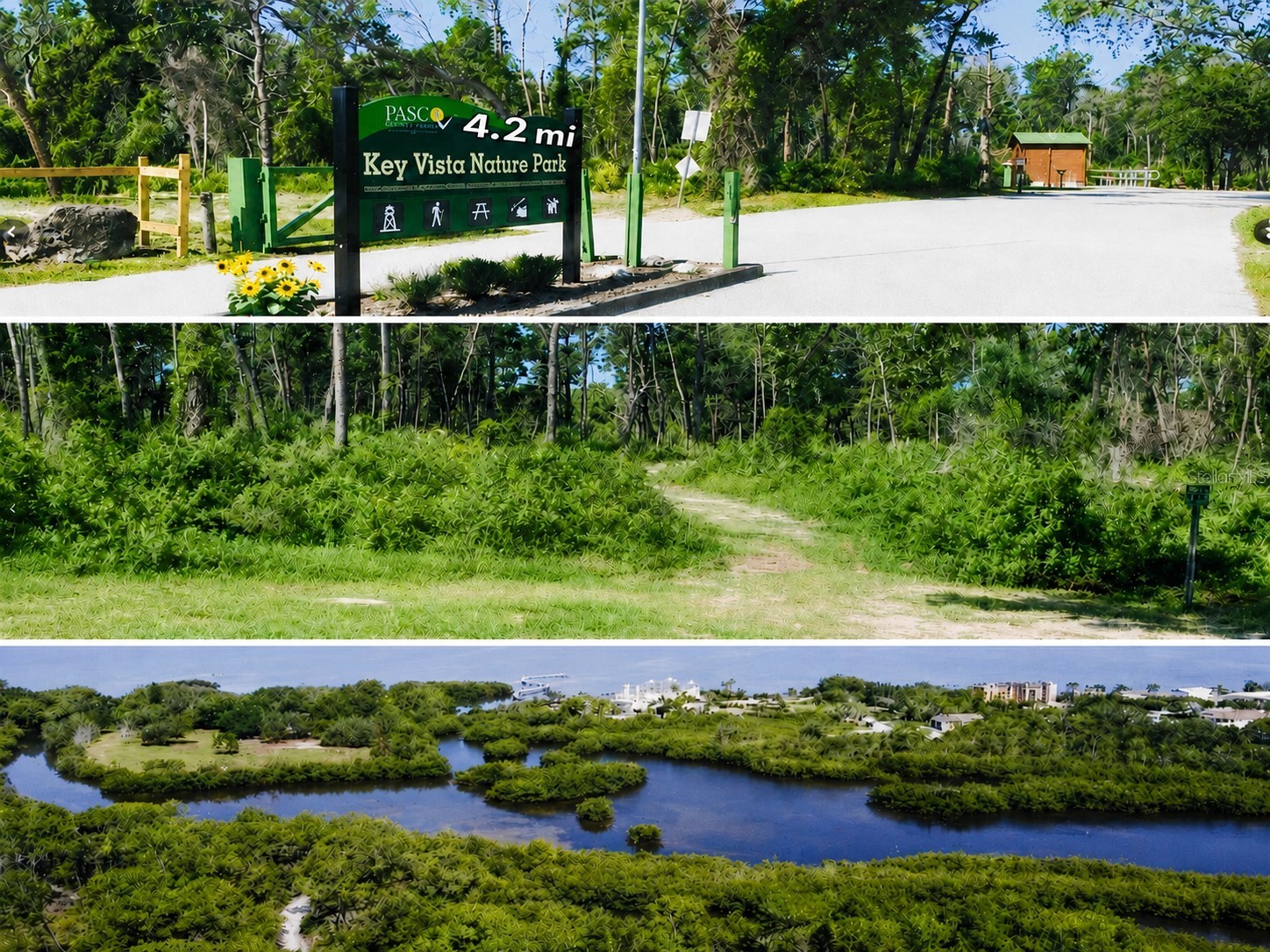 4645 Irene Loop New Port Richey FL 34652 TB8521203 image35