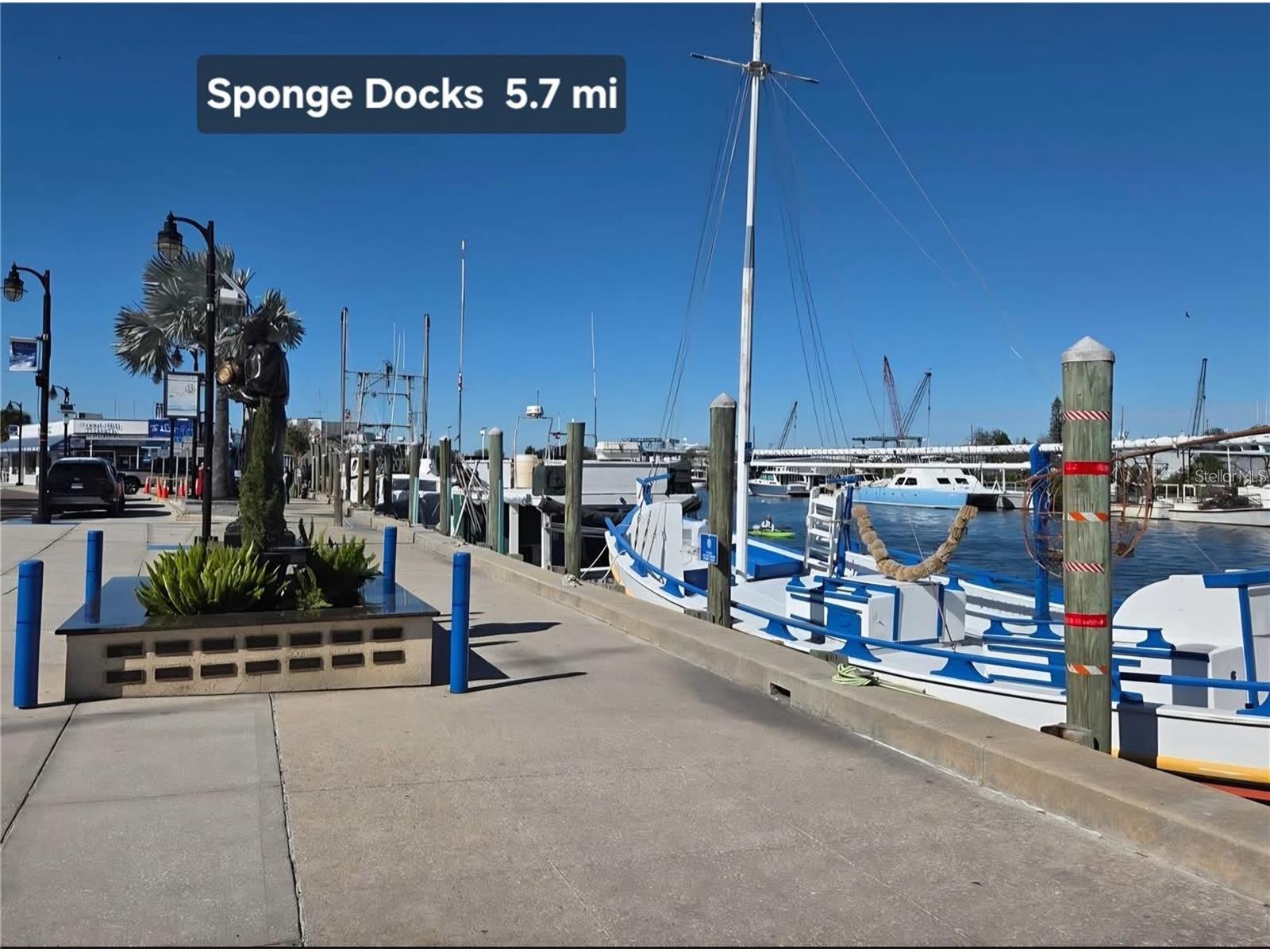 4645 Irene Loop New Port Richey FL 34652 TB8521203 image36