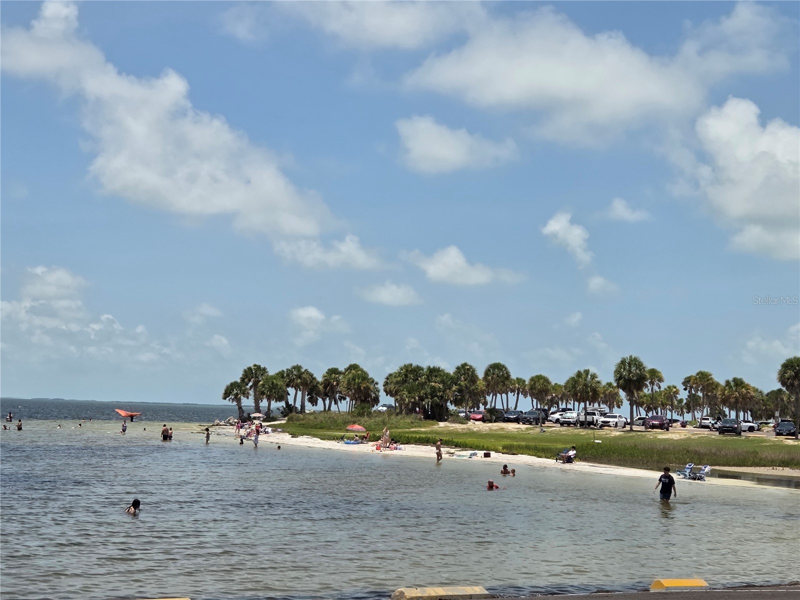 4645 Irene Loop New Port Richey FL 34652 TB8521203 image38